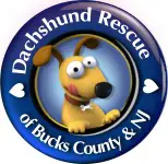 Dachshund Rescue of Bucks County