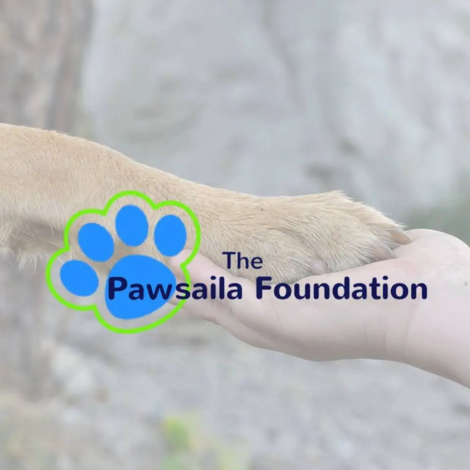 The Pawsaila Foundation