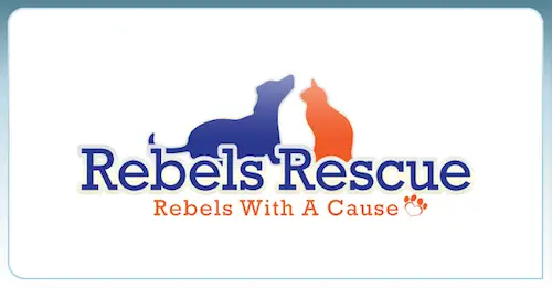 Rebels Rescue