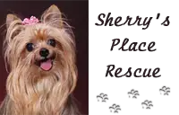 Sherry's Place Rescue