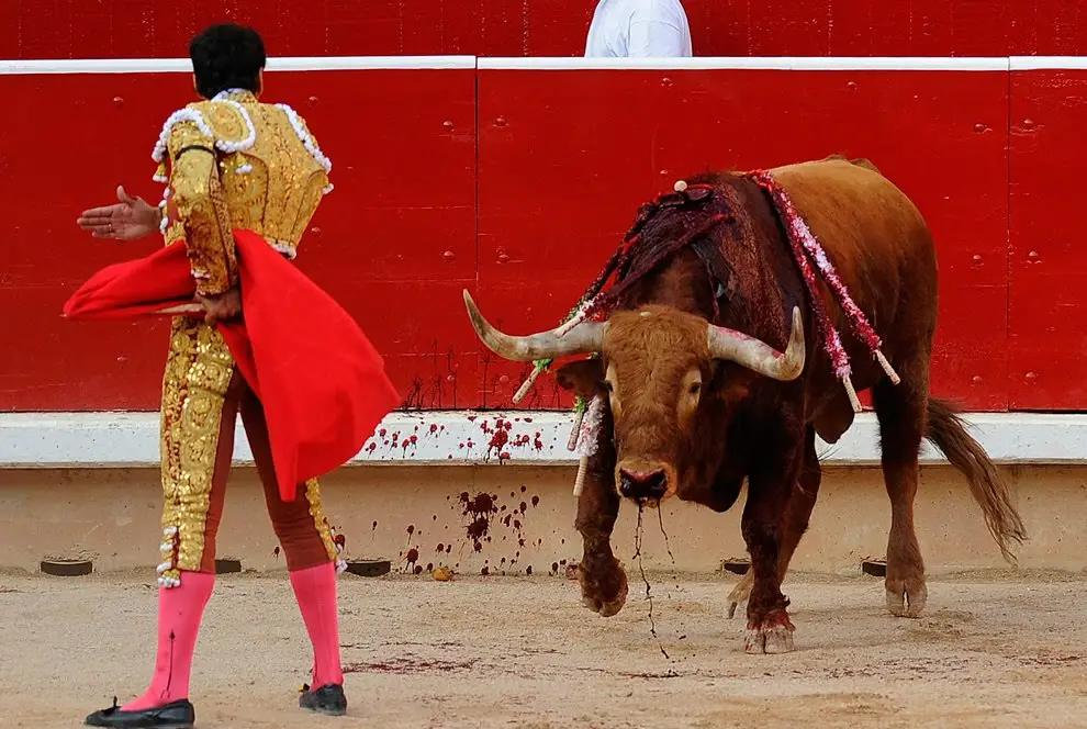 Spanish Bull Fighting
